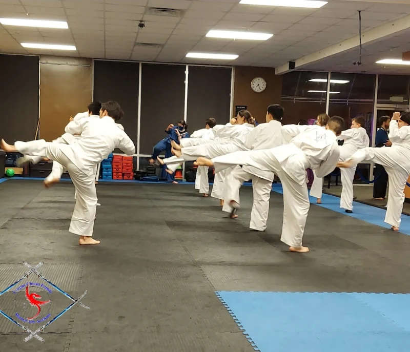 Teens Karate Classes in Corpus Christi